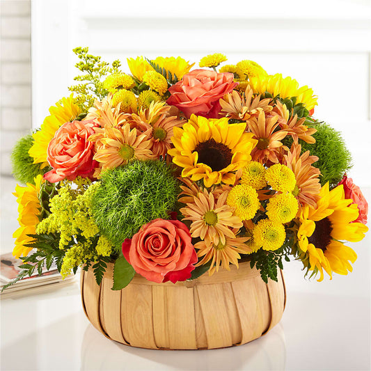 Harvest Sunflower Basket –  Olas Flower, Bothell WA
