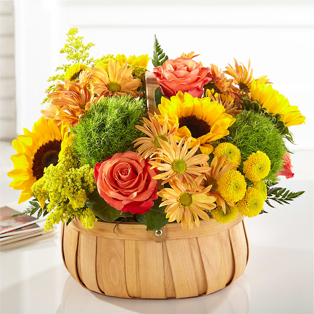 Harvest Sunflower Basket –  Olas Flower, Bothell WA