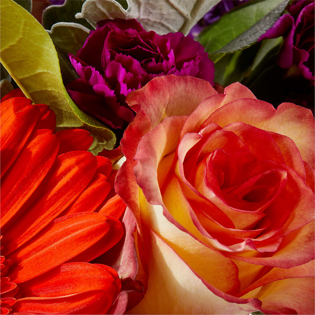 Sangria Bouquet –  Olas Flower, Bothell WA