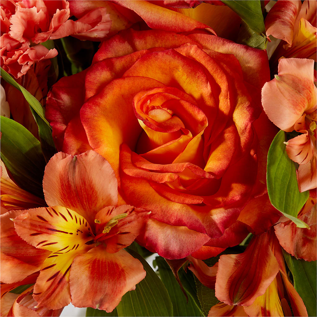 Apricot Glow Bouquet –  Olas Flower, Bothell WA