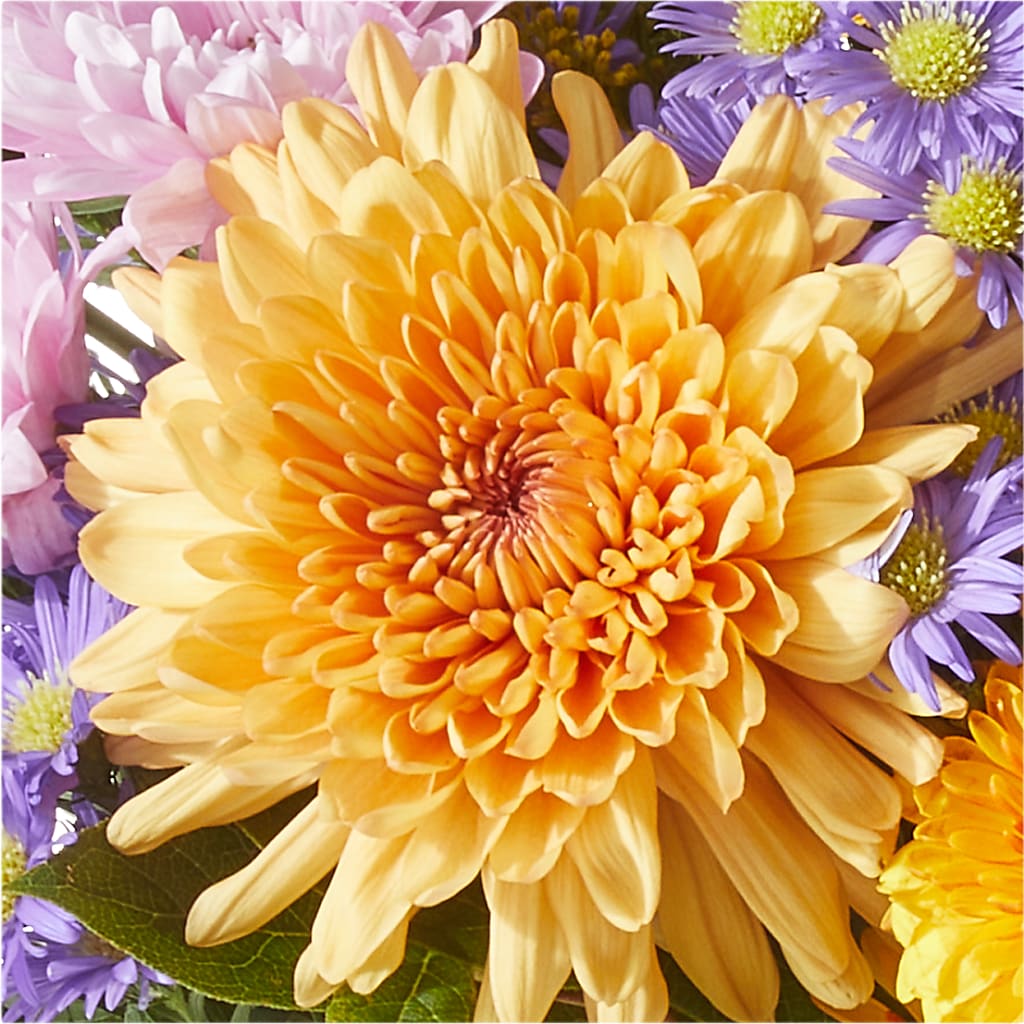 Countryside Bouquet –  Olas Flower, Bothell WA