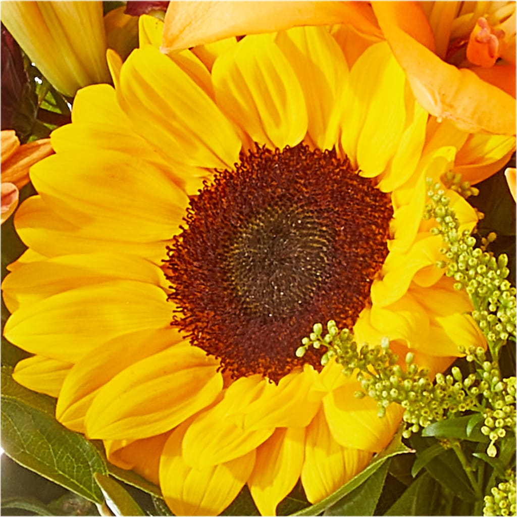 Seasons Change Bouquet –  Olas Flower, Bothell WA