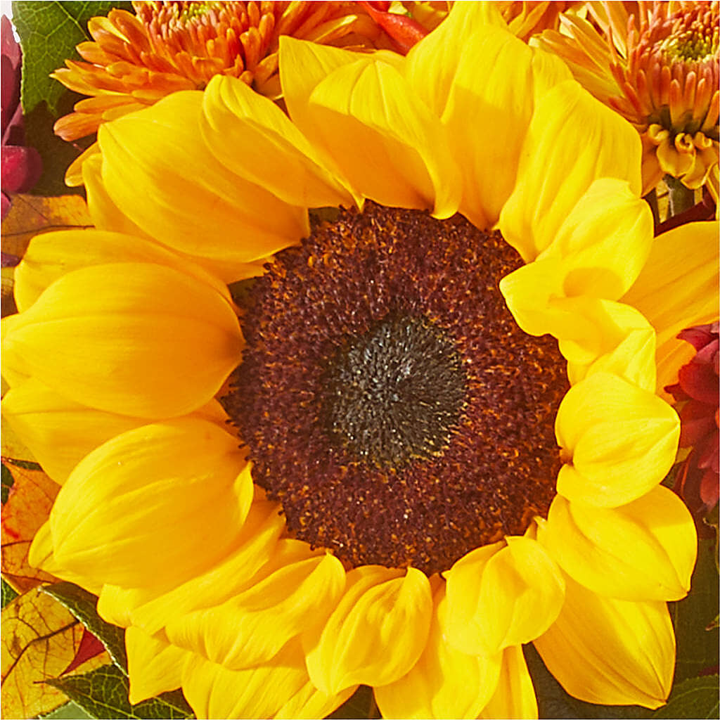 Sunny Side Bouquet –  Olas Flower, Bothell WA
