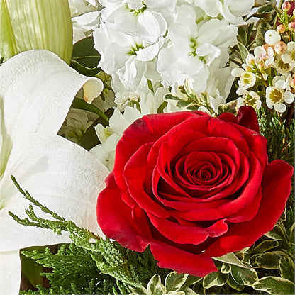 Twinkle Lights Bouquet –  Olas Flower, Bothell WA