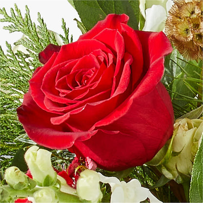 Deck the Halls Bouquet –  Olas Flower, Bothell WA