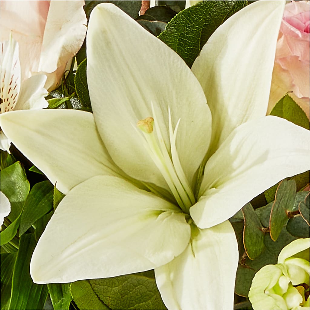 Ballet Slippers Bouquet –  Olas Flower, Bothell WA