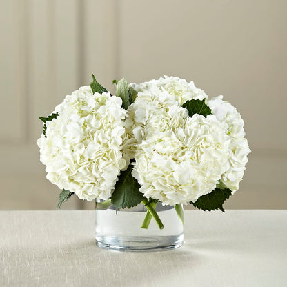 White Hydrangea Bouquet –  Olas Flower, Bothell WA