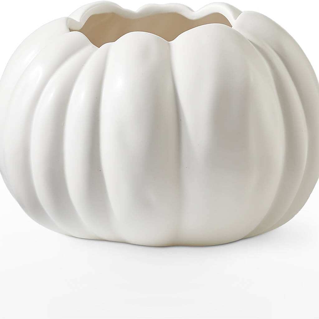 Pumpkin to Talk About Bouquet –  Olas Flower, Bothell WA