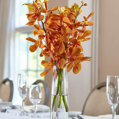 Orange Mokara Bud Vase –  Olas Flower, Bothell WA