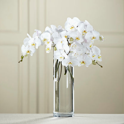 White Phalaenopsis Bouquet –  Olas Flower, Bothell WA